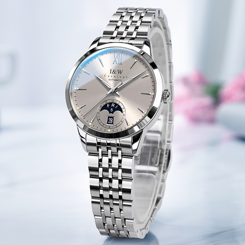CARNIVAL High-End Series IW Br - Sapphire Crystal Display review and price