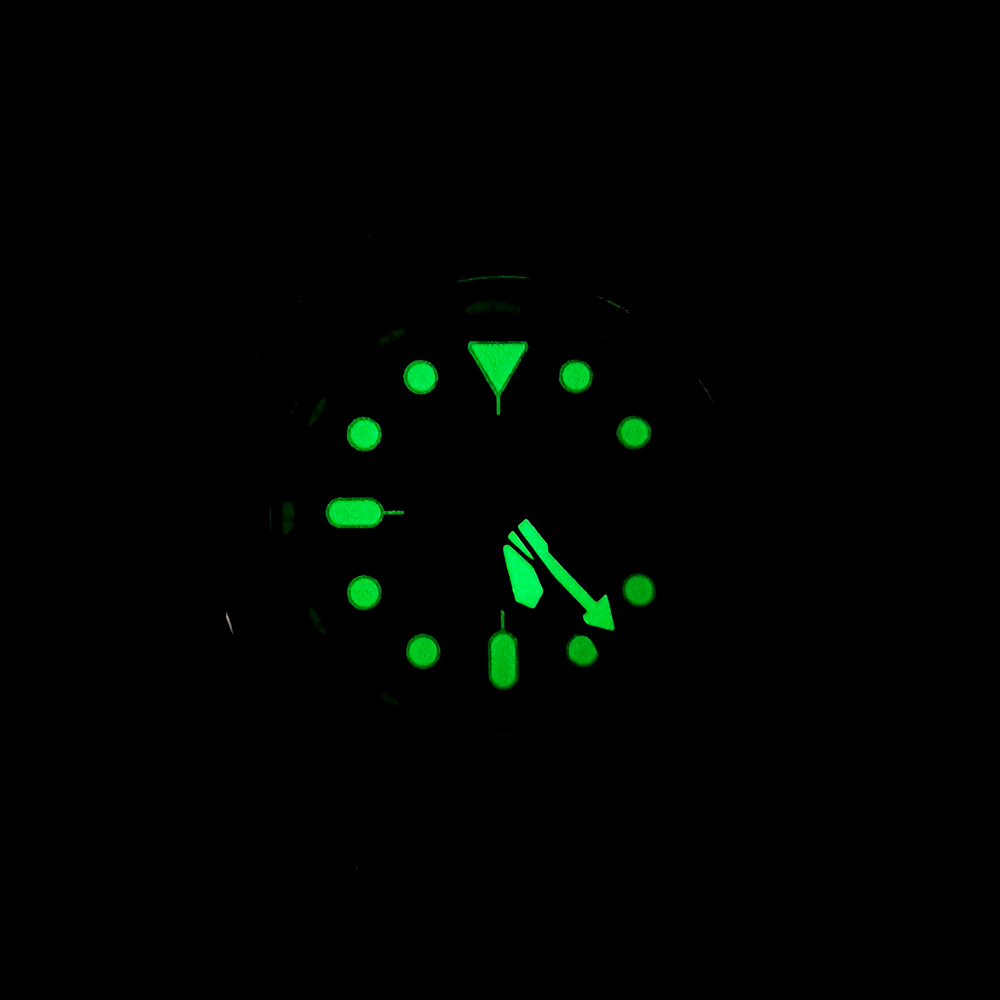 New Abalone Diving Men's Mecha - Luxury Watch Japan review and price
